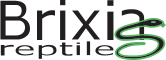 Brixia Reptiles